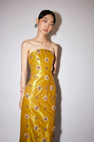Huishan Zhang - Lorena Dress