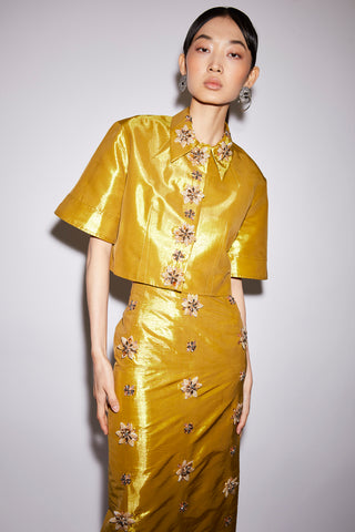 Huishan Zhang - Lorena Dress
