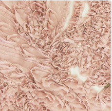 Greta Constantine - Denoa Gown-Dresses-Wardrobe Apparel