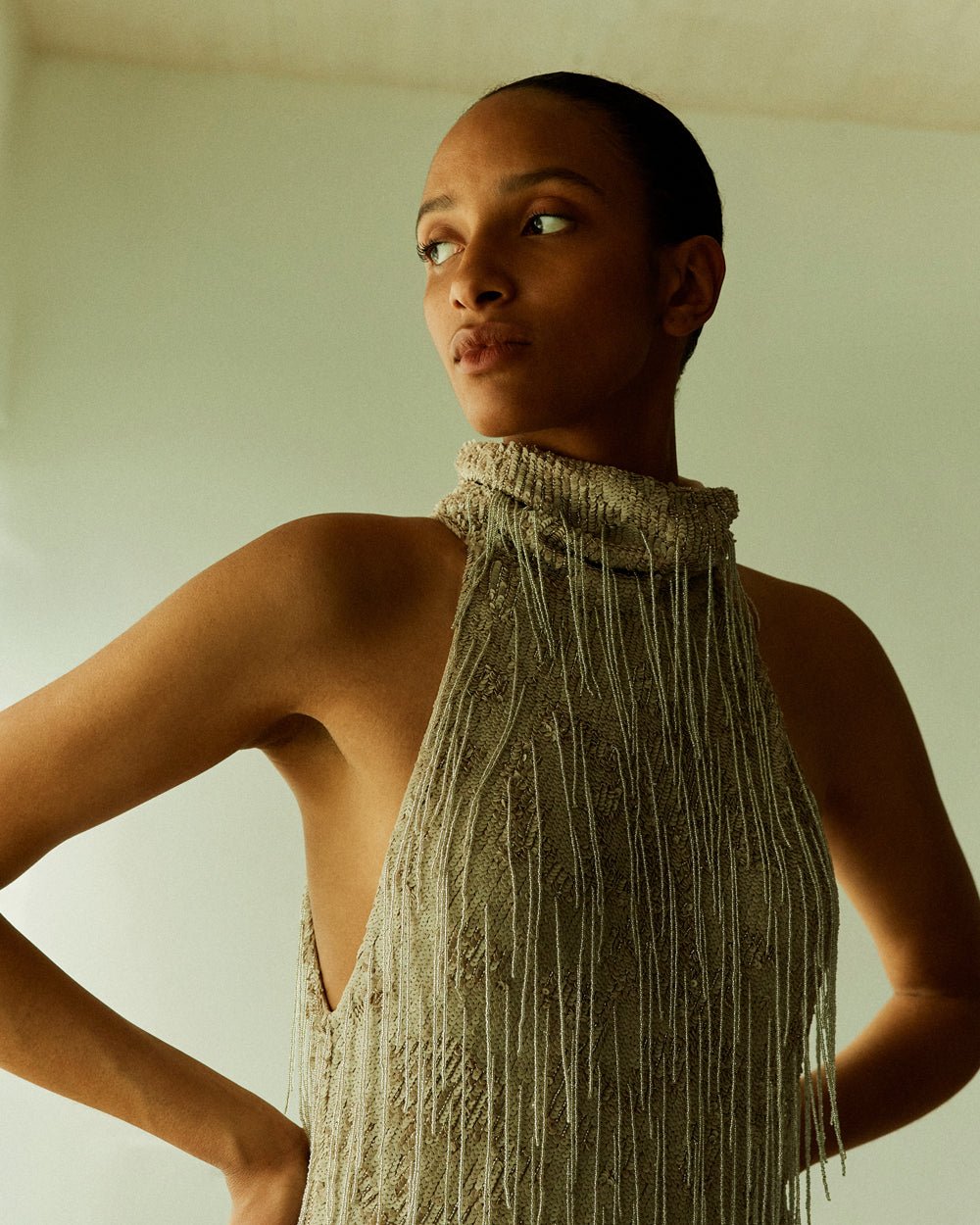 ILTA - Simone Beaded Fringe Gown 6 / Mushroom ILTA - Simone Beaded Fringe Gown 6 / Mushroom
